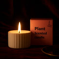 Lumaura_Indoor Halo Candles 