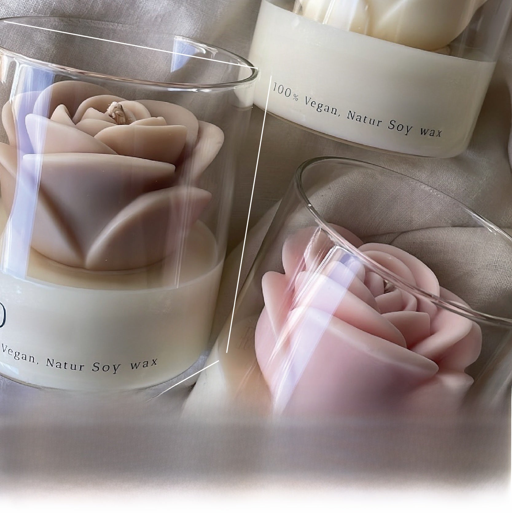 Bloom Rose Candle Fragrance
